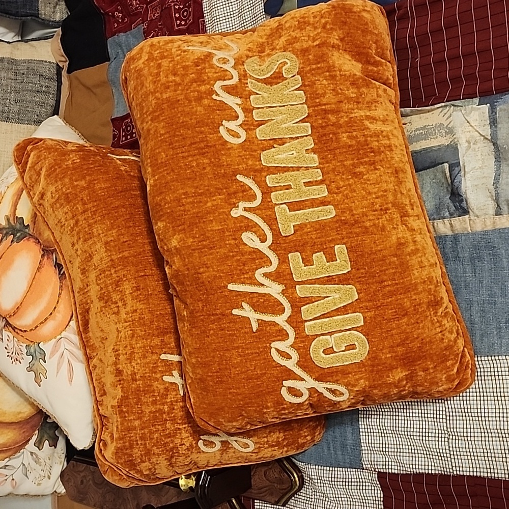 *LAST CHANCE* 2 HARVEST FALL THANKSGIVING ACCENT PILLOWS
